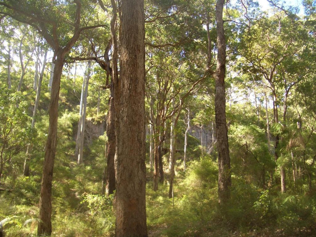Broadwater Bed And Breakfast Busselton Εξωτερικό φωτογραφία